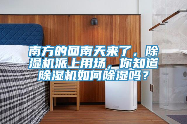 南方的回南天來了，除濕機派上用場，你知道除濕機如何除濕嗎？
