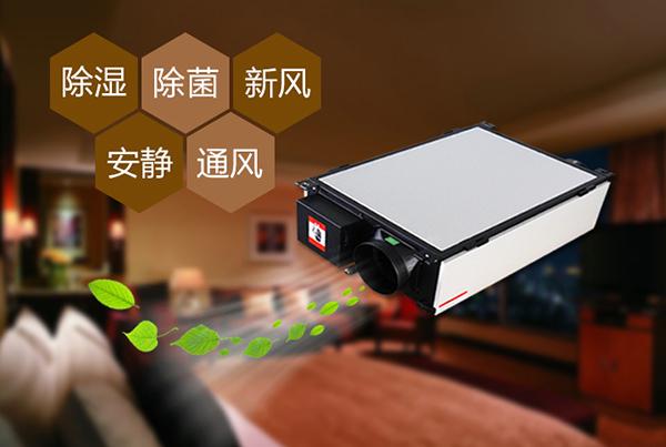 雙十一剛過，雙十二如約而至，濕冷還受得了嗎？