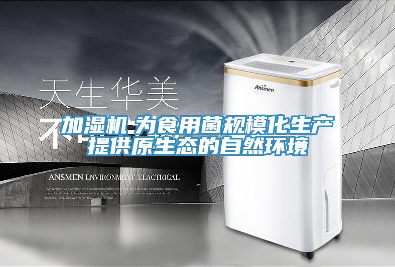 加濕機　為食用菌規(guī)?；a(chǎn)提供原生態(tài)的自然環(huán)境