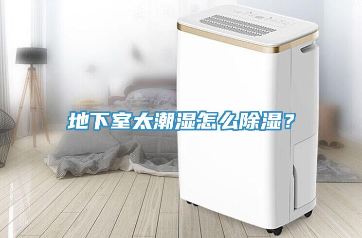地下室太潮濕怎么除濕？