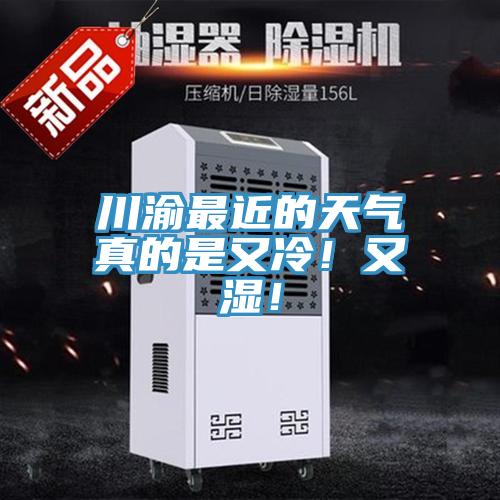 川渝最近的天氣真的是又冷！又濕！