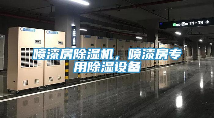 噴漆房除濕機(jī)，噴漆房專用除濕設(shè)備