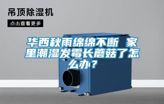 華西秋雨綿綿不斷 家里潮濕發(fā)霉長(zhǎng)蘑菇了怎么辦？