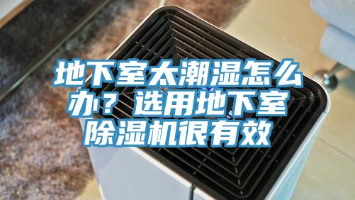 地下室太潮濕怎么辦？選用地下室除濕機(jī)很有效