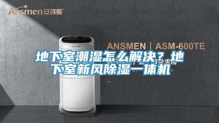 地下室潮濕怎么解決？地下室新風(fēng)除濕一體機(jī)
