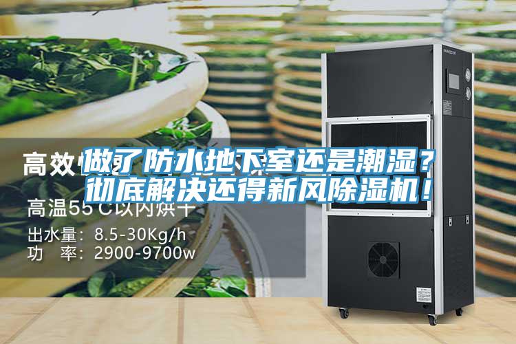 做了防水地下室還是潮濕？徹底解決還得新風除濕機！
