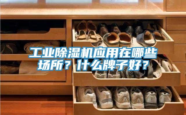 工業(yè)除濕機應(yīng)用在哪些場所？什么牌子好？
