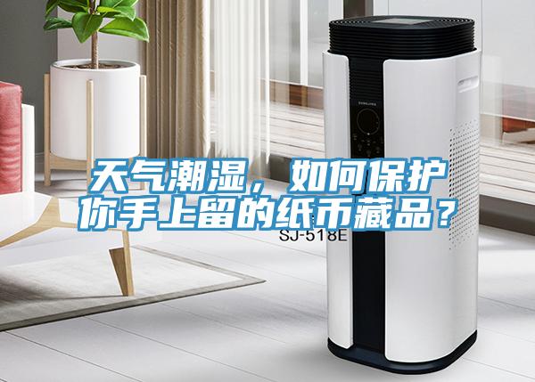 天氣潮濕，如何保護你手上留的紙幣藏品？