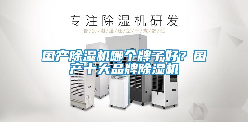 國產(chǎn)除濕機(jī)哪個(gè)牌子好？國產(chǎn)十大品牌除濕機(jī)