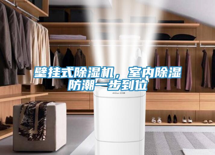 壁掛式除濕機(jī)，室內(nèi)除濕防潮一步到位