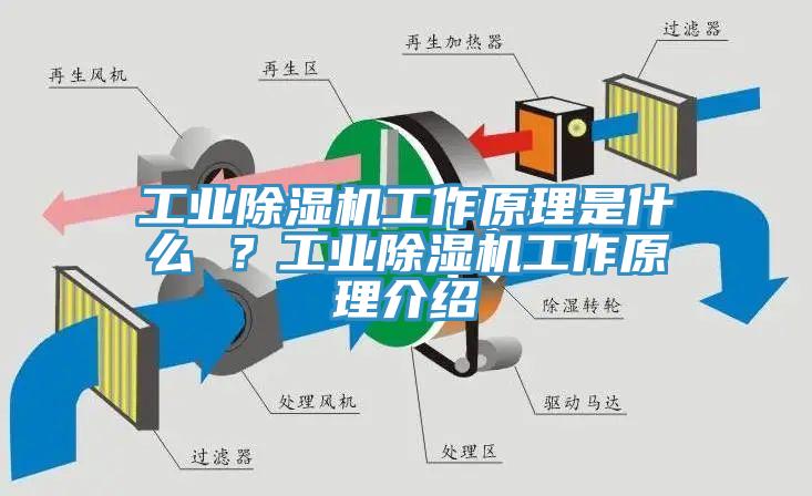 工業(yè)除濕機(jī)工作原理是什么 ？工業(yè)除濕機(jī)工作原理介紹