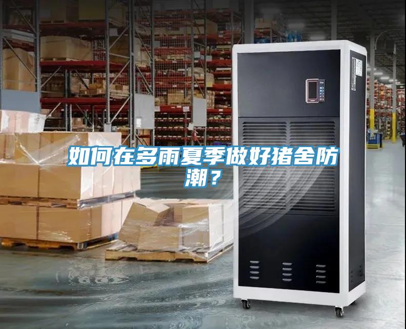如何在多雨夏季做好豬舍防潮？