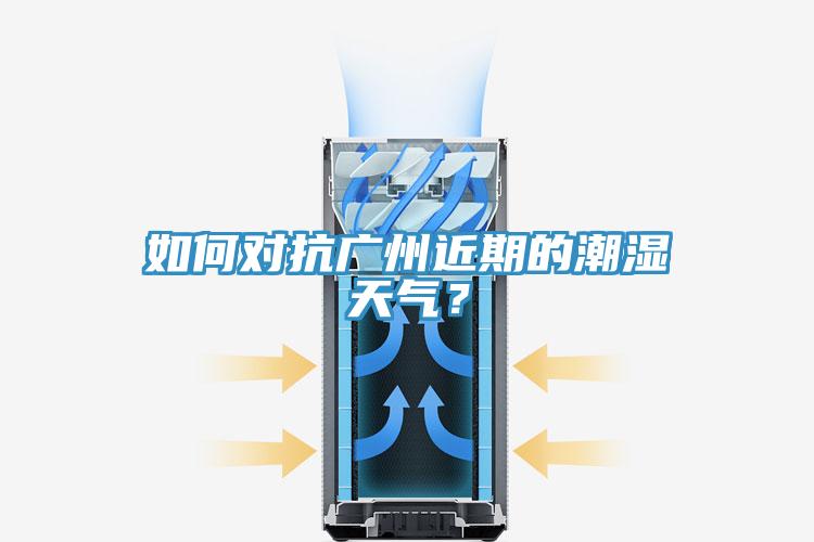 如何對抗廣州近期的潮濕天氣？