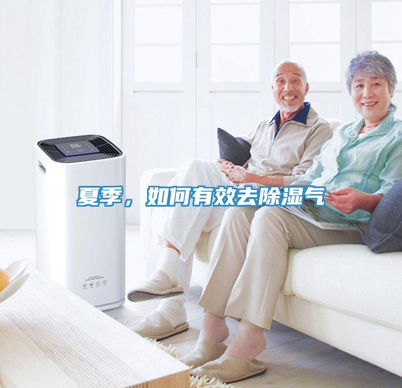 夏季，如何有效去除濕氣