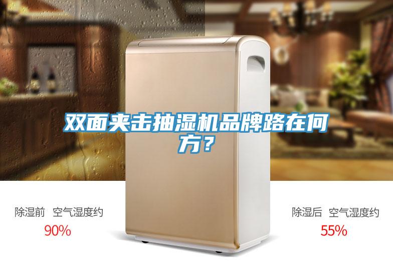 雙面夾擊抽濕機(jī)品牌路在何方？