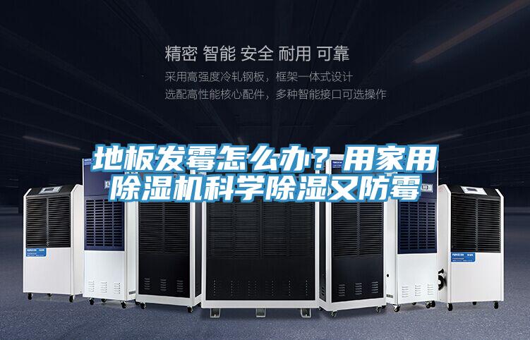 地板發(fā)霉怎么辦？用家用除濕機科學除濕又防霉