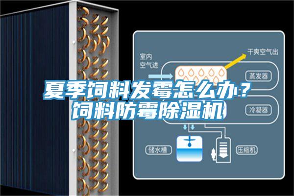 夏季飼料發(fā)霉怎么辦？飼料防霉除濕機(jī)
