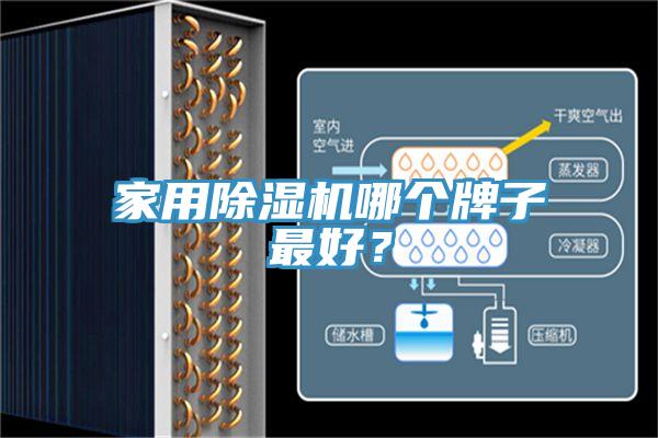 家用除濕機哪個牌子最好？