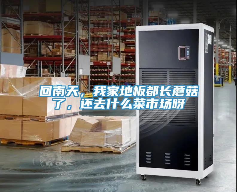 回南天，我家地板都長蘑菇了，還去什么菜市場呀