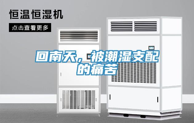 回南天，被潮濕支配的痛苦