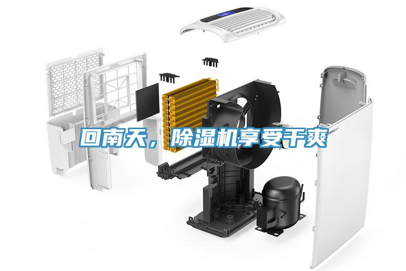 回南天，除濕機(jī)享受干爽