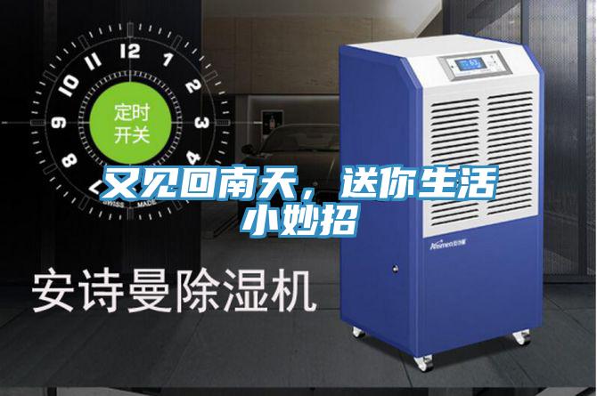 又見回南天，送你生活小妙招