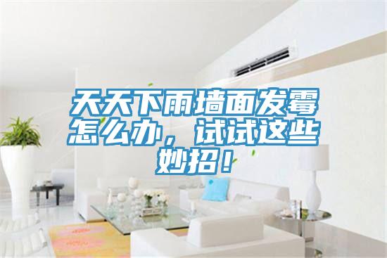 天天下雨墻面發(fā)霉怎么辦，試試這些妙招！
