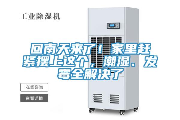 回南天來了！家里趕緊擺上這個(gè)，潮濕、發(fā)霉全解決了