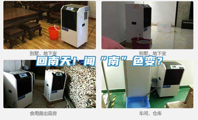回南天！聞“南”色變？