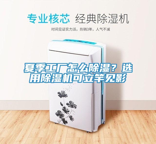 夏季工廠怎么除濕？選用除濕機(jī)可立竿見影