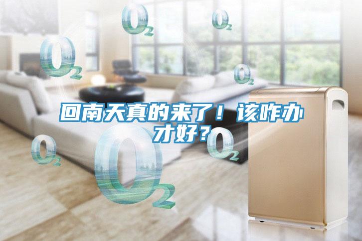 回南天真的來了！該咋辦才好？