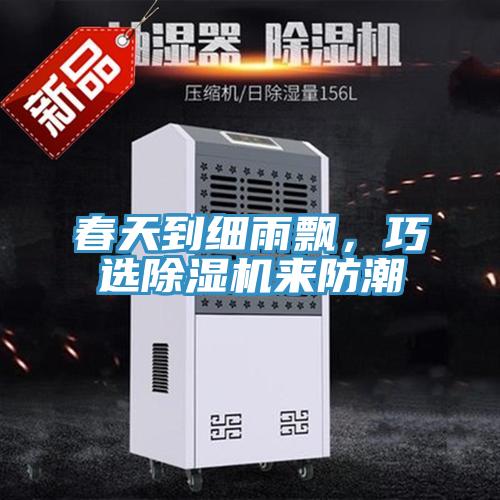 春天到細雨飄，巧選除濕機來防潮