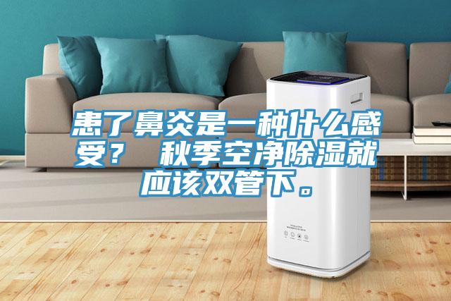 患了鼻炎是一種什么感受? 秋季空凈除濕就應(yīng)該雙管下。
