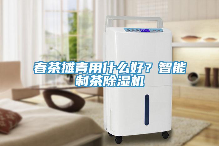 春茶攤青用什么好?智能制茶除濕機