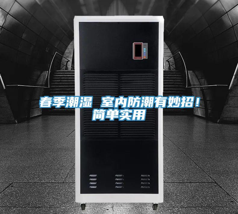 春季潮濕 室內防潮有妙招！簡單實用