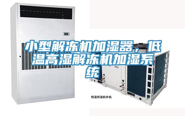 小型解凍機(jī)加濕器，低溫高濕解凍機(jī)加濕系統(tǒng)