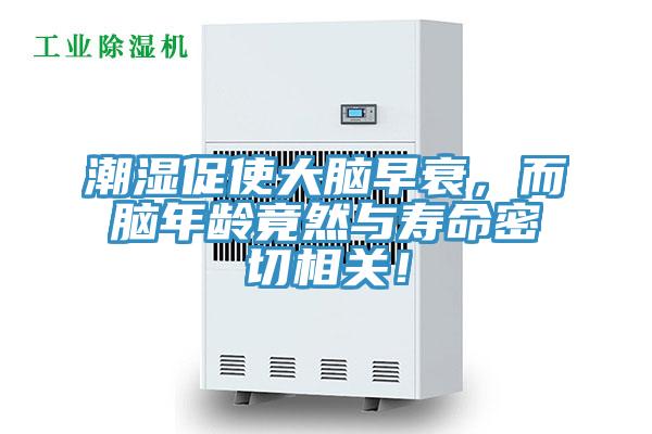 潮濕促使大腦早衰,而腦年齡竟然與壽命密切相關!