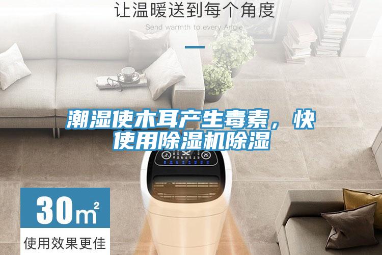 潮濕使木耳產生毒素，快使用除濕機除濕