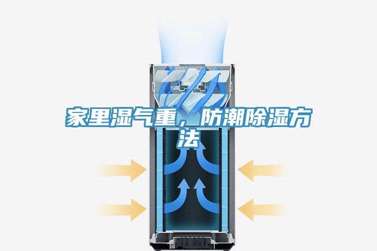 家里濕氣重，防潮除濕方法
