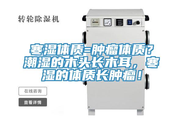 寒濕體質(zhì)=腫瘤體質(zhì)？潮濕的木頭長木耳，寒濕的體質(zhì)長腫瘤！