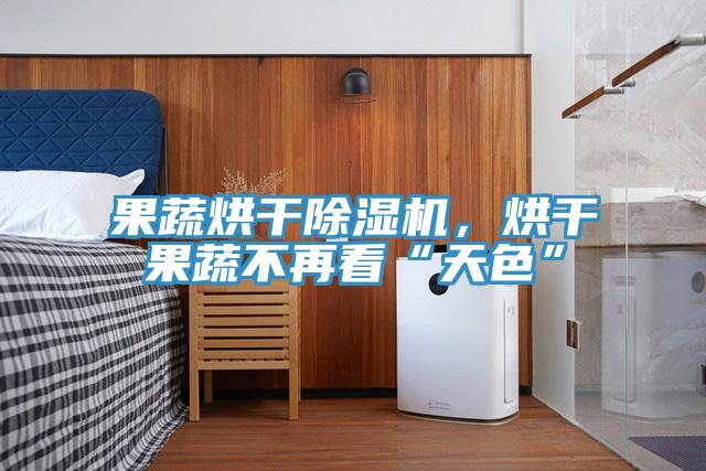 果蔬烘干除濕機(jī)，烘干果蔬不再看“天色”