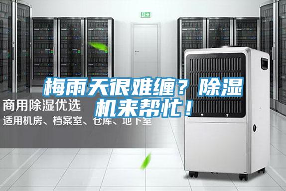 梅雨天很難纏?除濕機來幫忙!