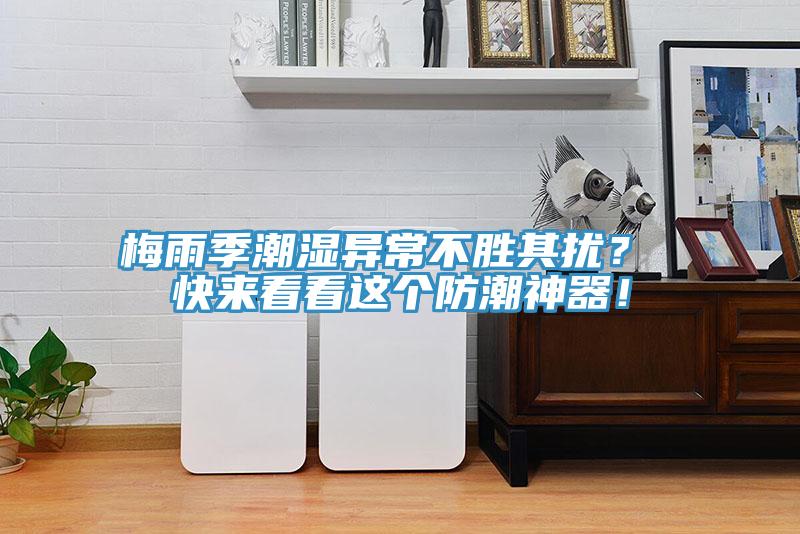 梅雨季潮濕異常不勝其擾？ 快來看看這個(gè)防潮神器！
