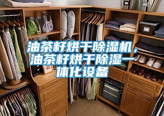 油茶籽烘干除濕機，油茶籽烘干除濕一體化設備