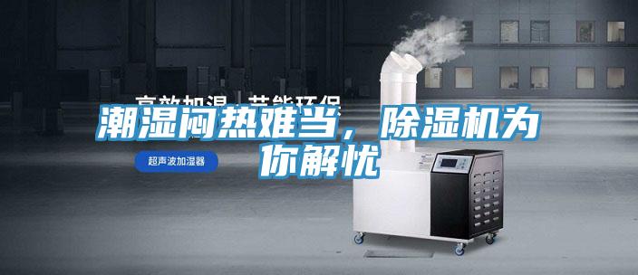 潮濕悶熱難當，除濕機為你解憂