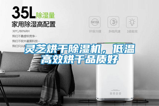 靈芝烘干除濕機，低溫高效烘干品質好