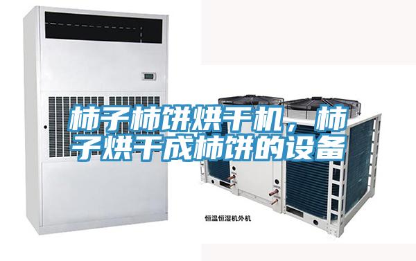 柿子柿餅烘干機，柿子烘干成柿餅的設(shè)備