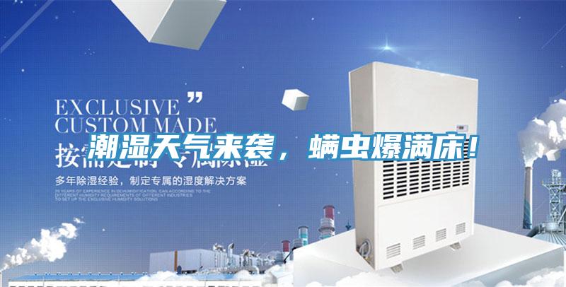 潮濕天氣來(lái)襲,螨蟲爆滿床!