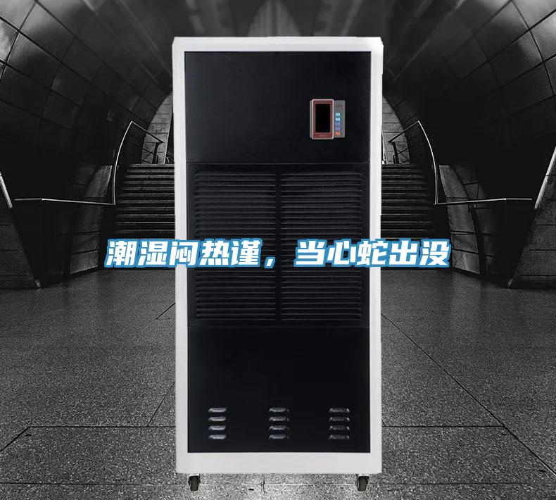 潮濕悶熱謹，當心蛇出沒