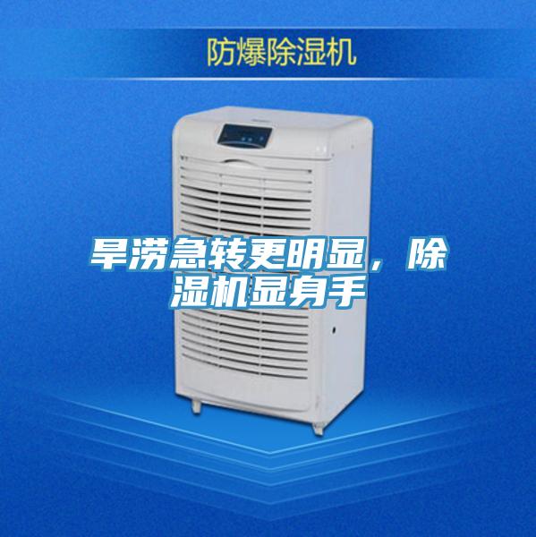 旱澇急轉更明顯,除濕機顯身手